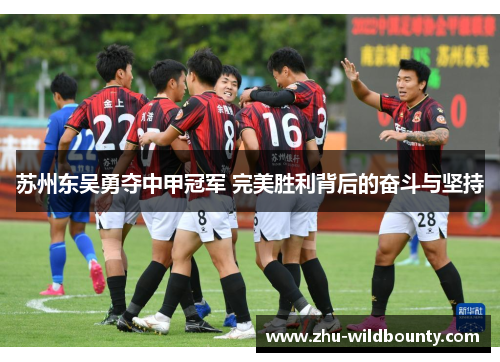 苏州东吴勇夺中甲冠军 完美胜利背后的奋斗与坚持 苏州东吴勇夺中甲冠军 完美胜利背后的奋斗与坚持