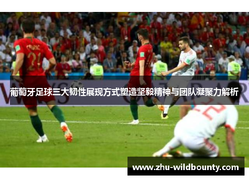 葡萄牙足球三大韧性展现方式塑造坚毅精神与团队凝聚力解析 葡萄牙足球三大韧性展现方式塑造坚毅精神与团队凝聚力解析