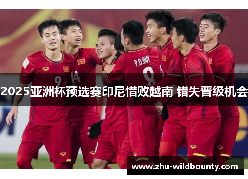 2025亚洲杯预选赛印尼惜败越南 错失晋级机会 2025亚洲杯预选赛印尼惜败越南 错失晋级机会