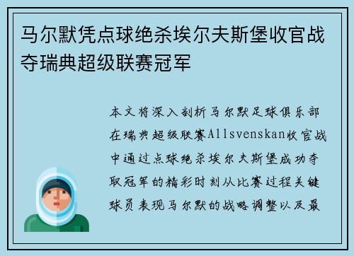 马尔默凭点球绝杀埃尔夫斯堡收官战夺瑞典超级联赛冠军