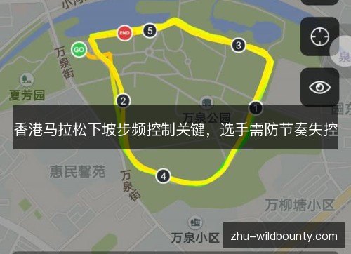 香港马拉松下坡步频控制关键,选手需防节奏失控 香港马拉松下坡步频控制关键,选手需防节奏失控